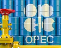 12月11日外盘头条：美参议院否决两项医保法案 OpenAI推出GPT-5.2 泽连斯基提出由公投