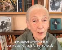 珍·古道尔去世，曾17次到访中国：若不抱希望，那才叫彻底输了