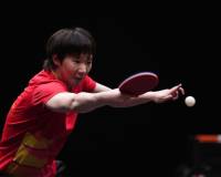 WTT总决赛王曼昱夺得女单冠军