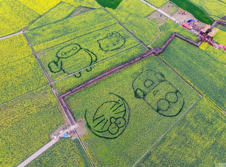 49.jpg