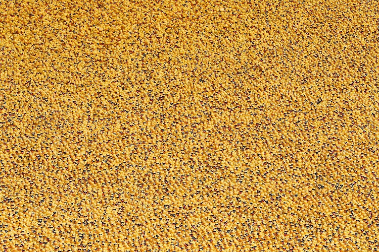 7A5855C4-8398-46F0-8664-C77F75C7E500.jpeg