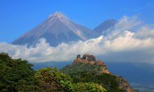 a808.jpg