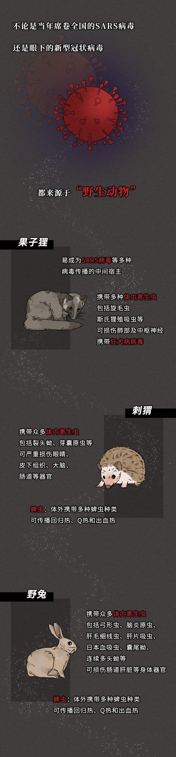g24.jpg