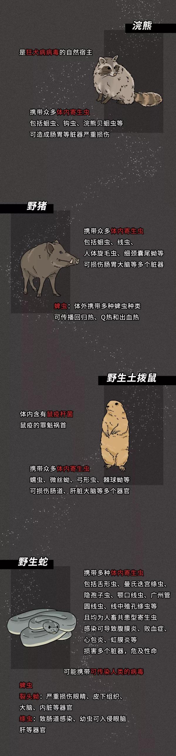 g25.jpg