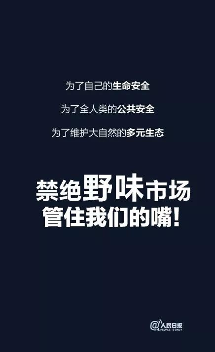 g28.jpg
