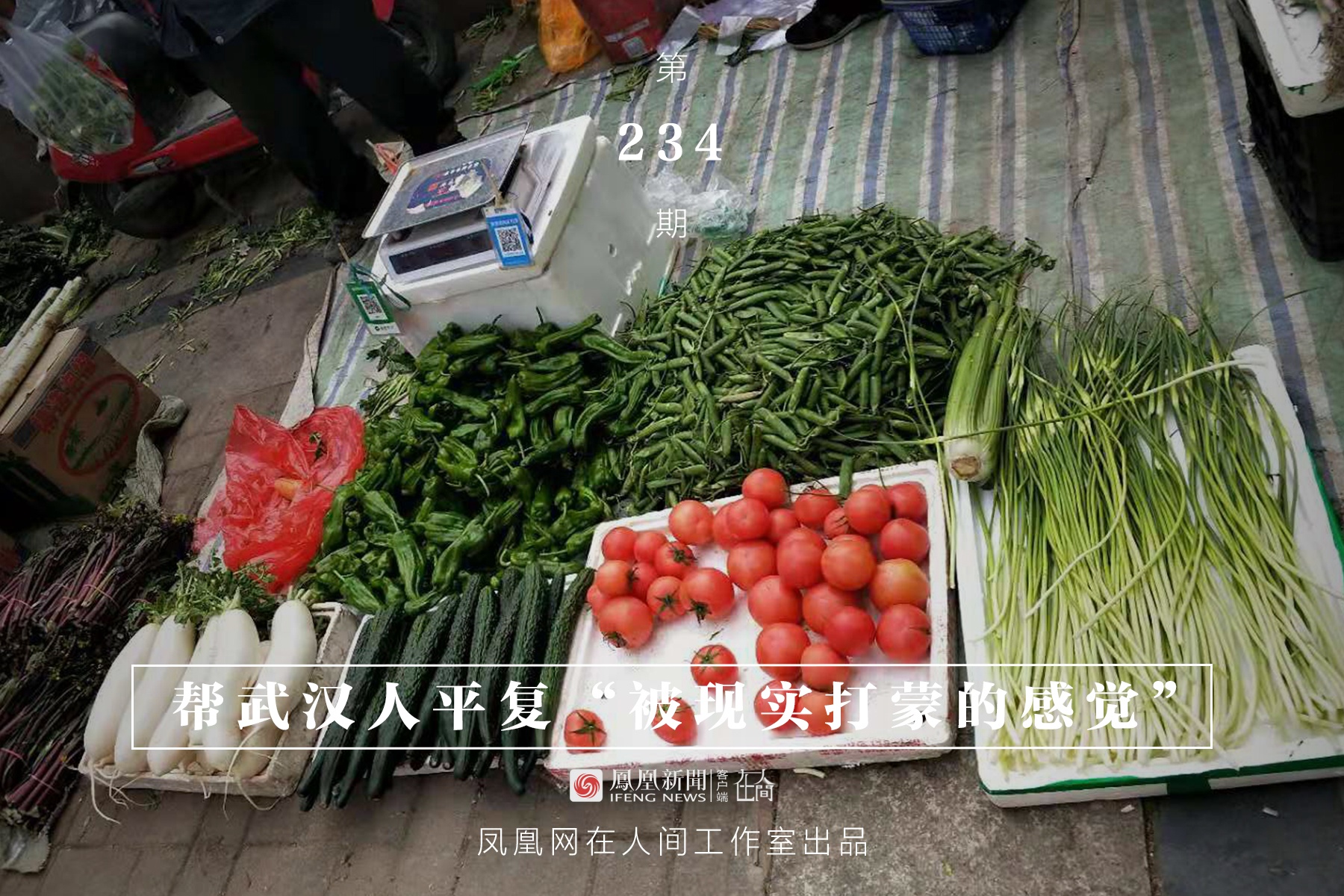 234-compressed.jpg