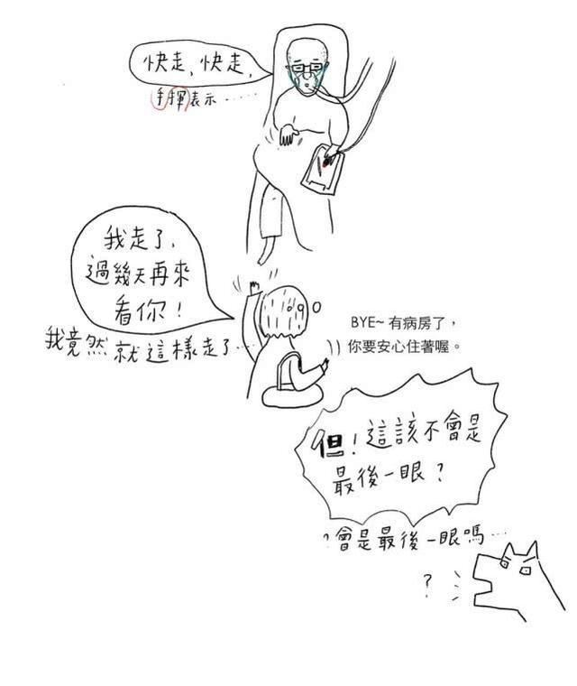 s204.jpg