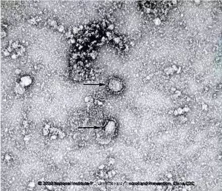 s223.jpg
