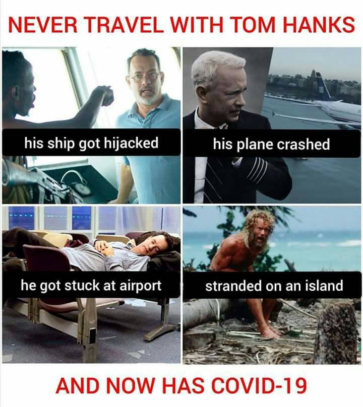 313377.jpg