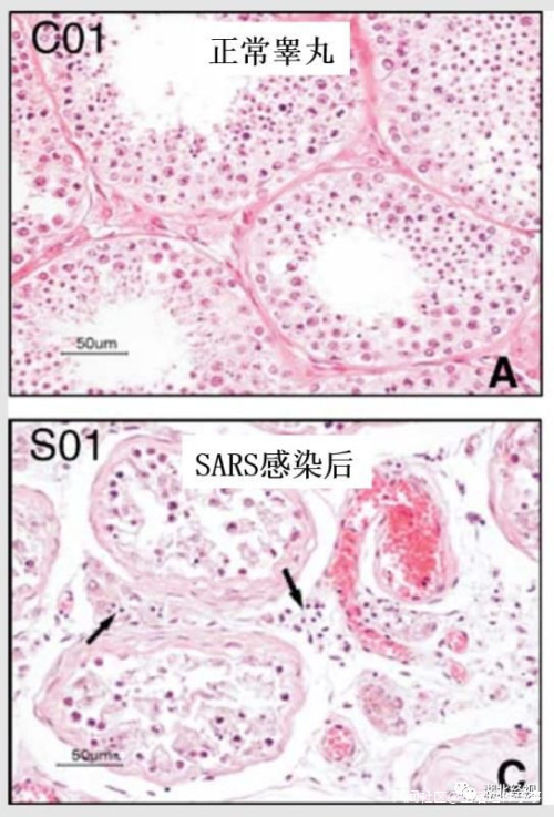 s898.jpg