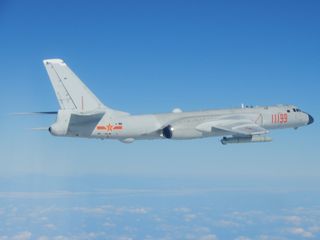 z821.jpg