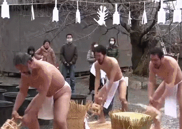 x258.gif