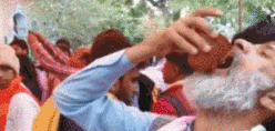 x263.gif