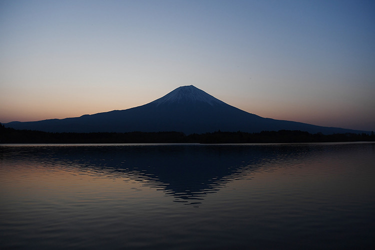 34D36264-5A8D-40F8-BA0E-EE632F4927CA.jpeg
