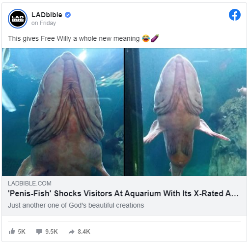 Capture.PNG