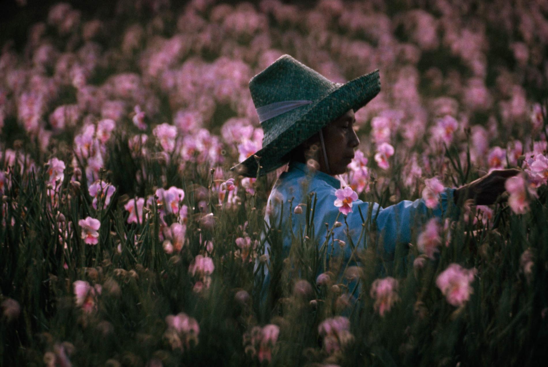pod-15-06-2020-nationalgeographic_621394-1-.ngsversion.1590528740654.adapt.1900.1.jpg