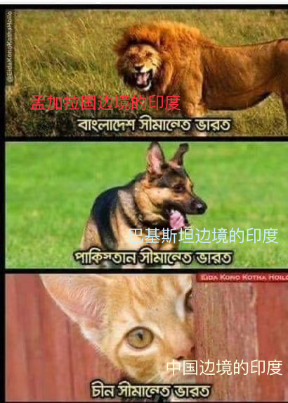 z390.jpeg