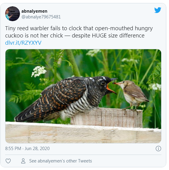 Capture.PNG