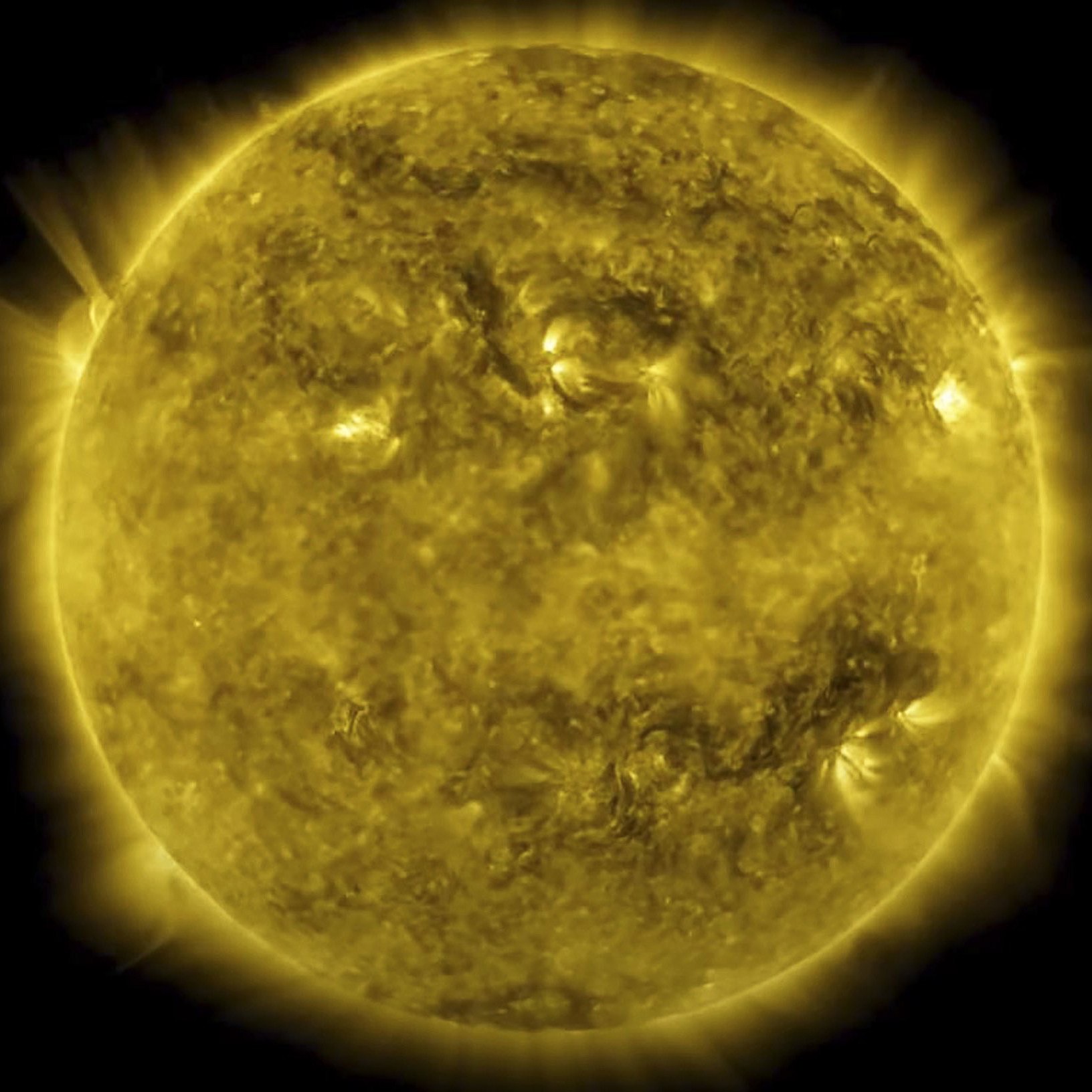 38F3B59F-E025-4266-B8BA-13086A68DDA4.jpeg