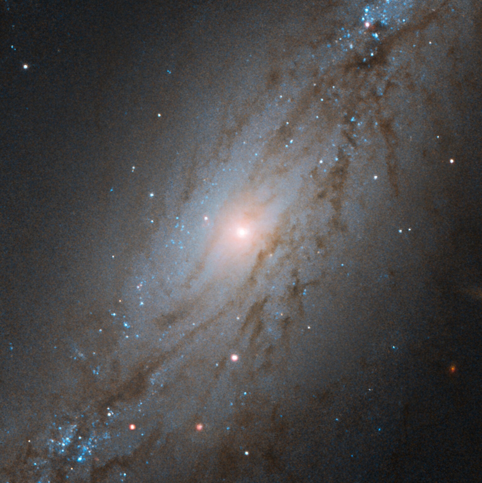 2C53ED52-12AD-4198-9963-65A888CAAF45.jpeg