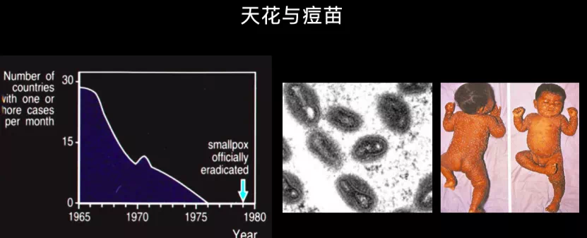 FF964122-EFE4-412C-8C1B-E99700341A5A.png