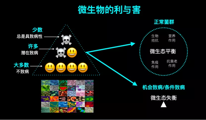 07D0E1F6-BCA0-4A3D-B40D-ABDCA80927C4.png