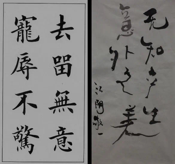 B5014341-467B-41ED-B6FD-7C66CCC5C118.jpeg
