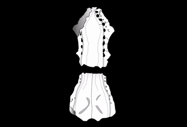 11.gif