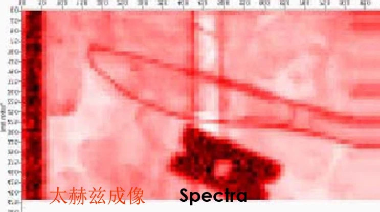 45DE231B-5D9A-41E9-A66D-75D3898767BF.jpeg