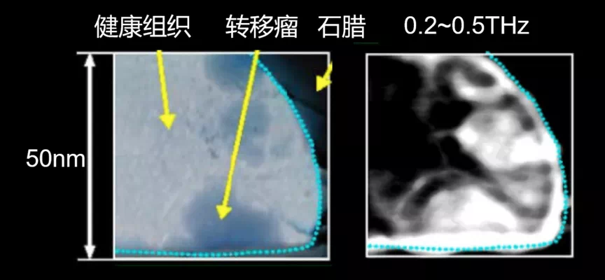 B9F55C2B-F605-433A-9167-1695FA0F0ADF.png
