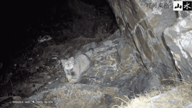 9.gif