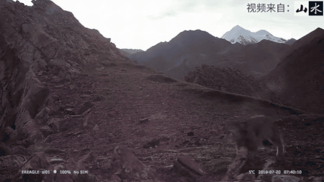 10.gif