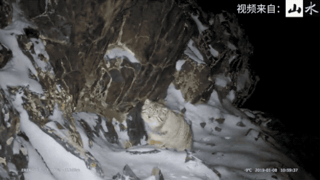 11.gif