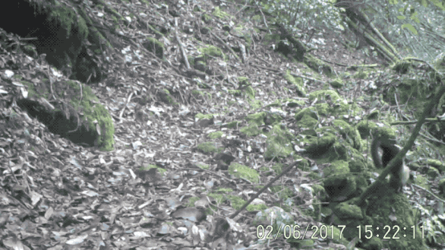 19.gif