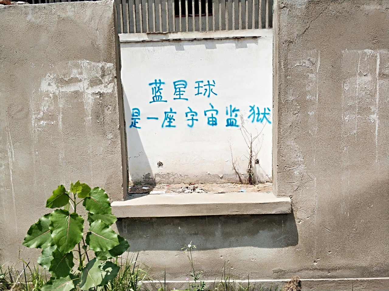 7FB49CAD-3132-48BA-BA66-A19811274D2F.jpeg
