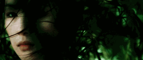 b481.gif