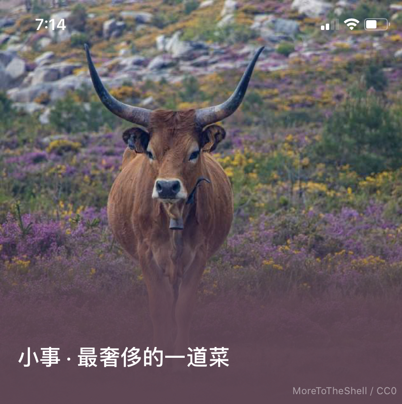 C74789BA-261D-43FD-B4BC-330F2258A907.jpeg