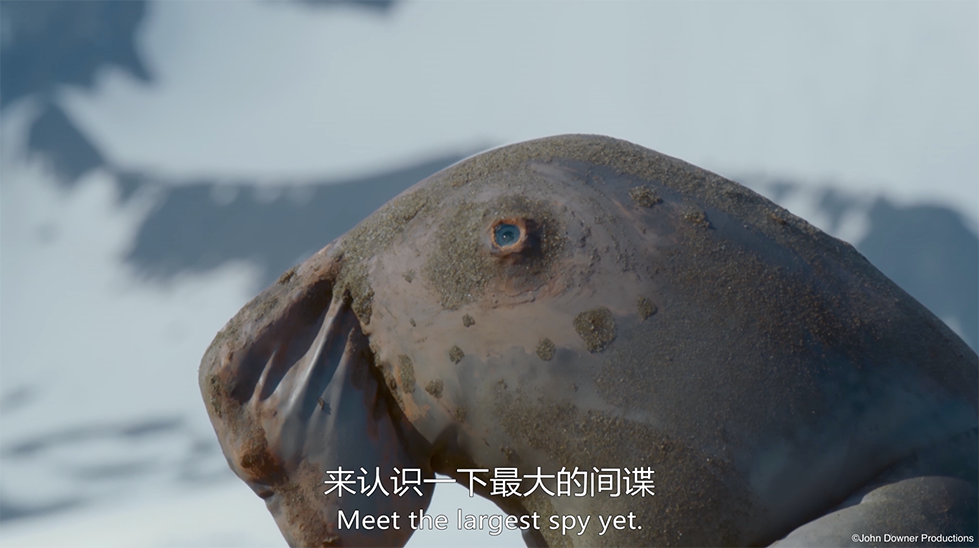 IMG_6059.PNG