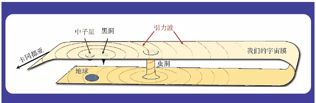 IMG_6361.PNG
