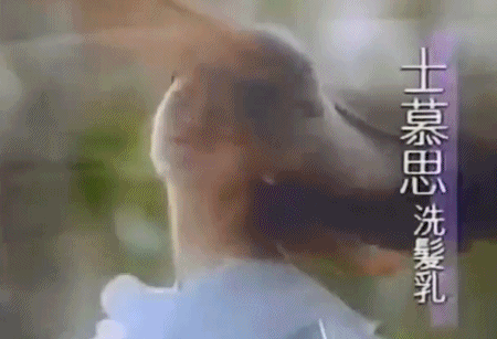 b650.gif