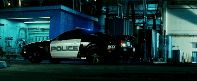 IMG_6893.GIF