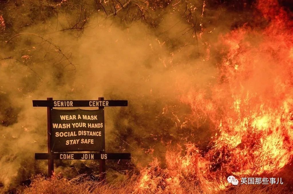 45.jpeg