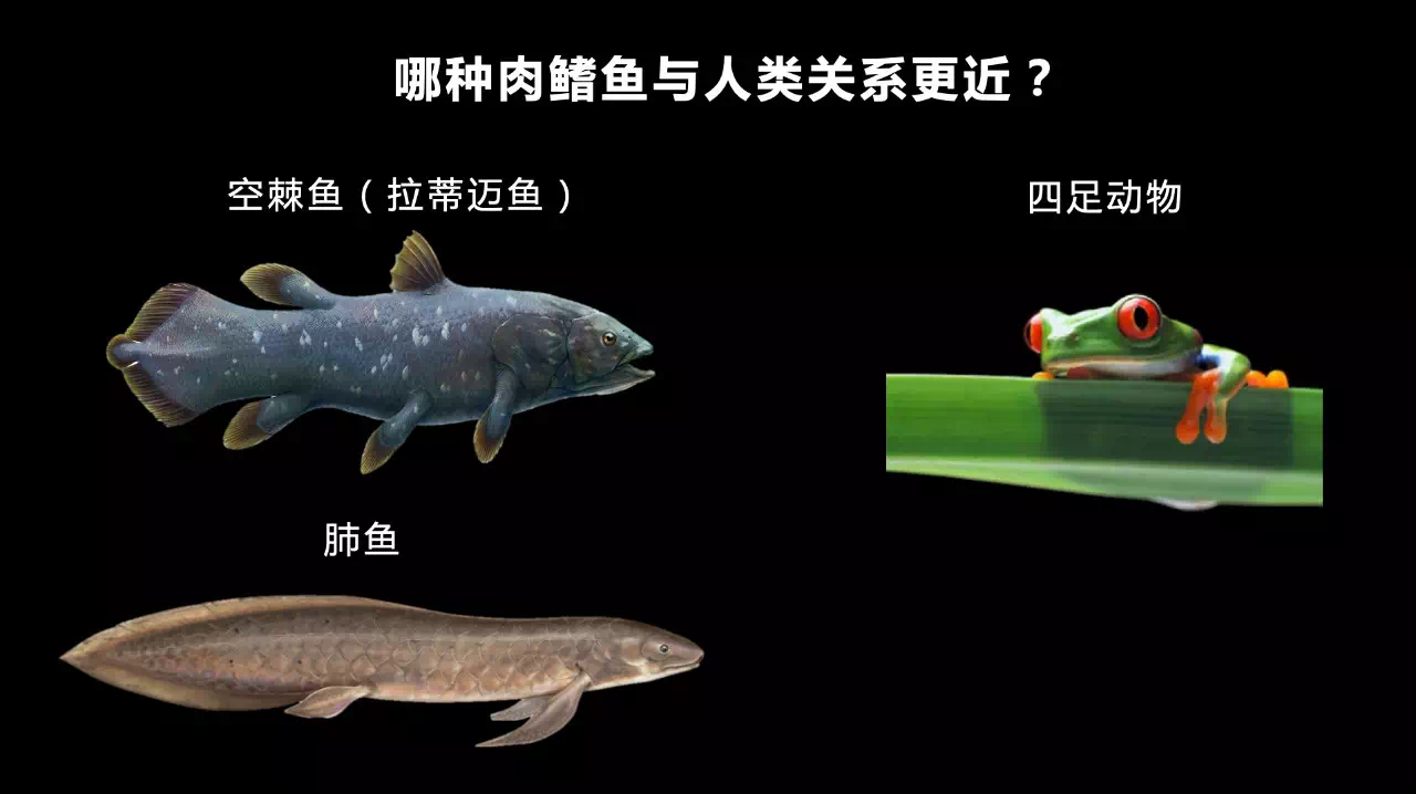 IMG_7705.PNG