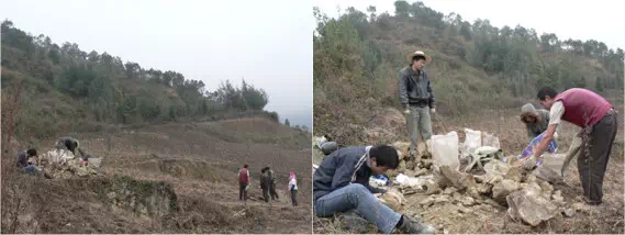 IMG_7743.PNG