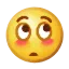 IMG_7828.PNG