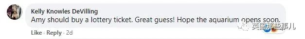 16.jpeg