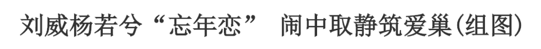 IMG_9016.PNG