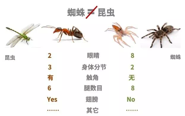 IMG_9637.PNG