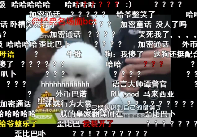 IMG_0250.PNG