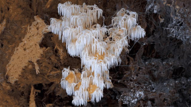 IMG_0386.GIF